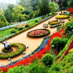 Botanical-Garden-ooty (1)